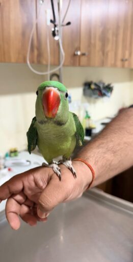 citypaws53